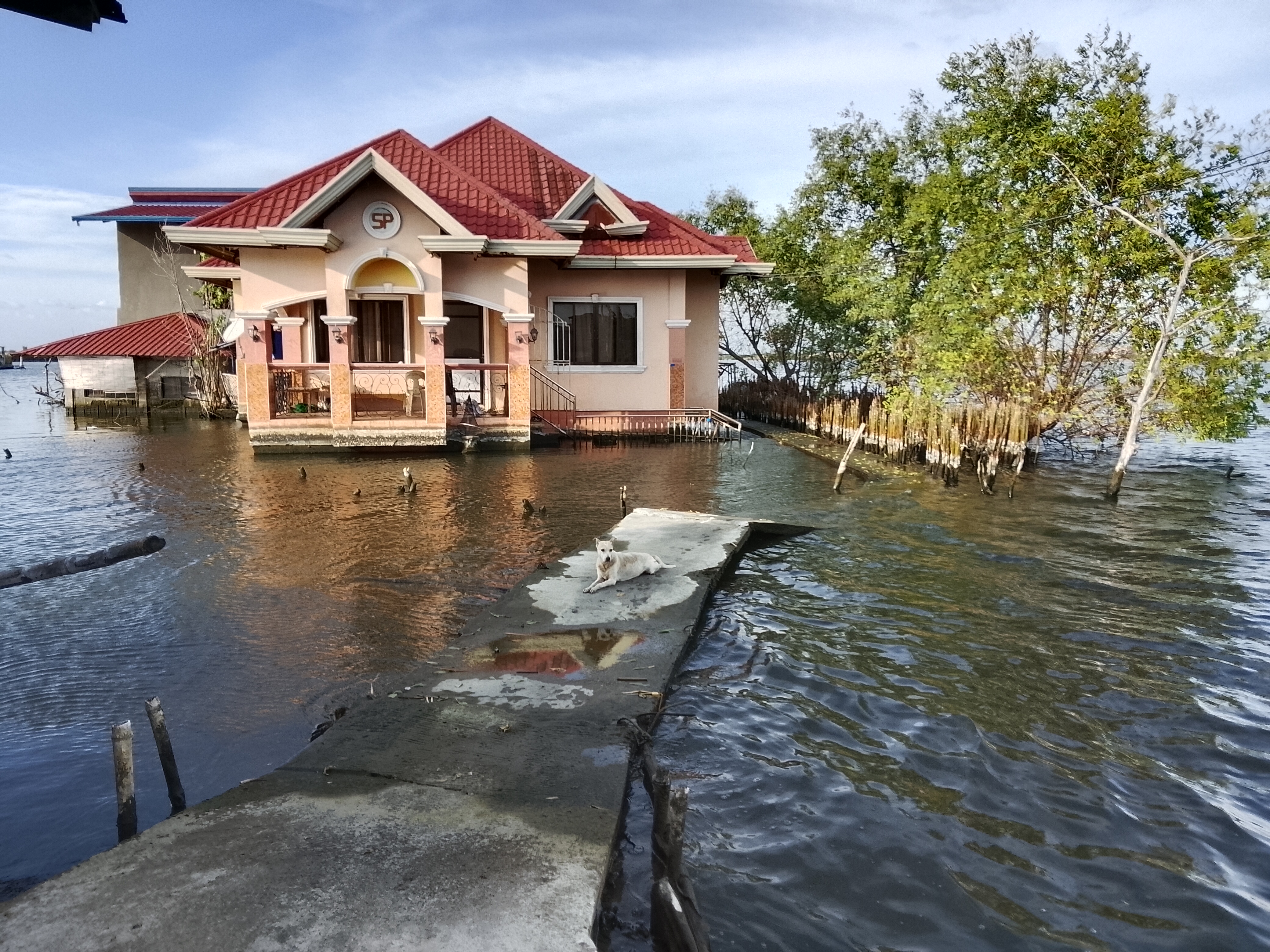 Cracks, Sinking, and Drainage Problems: When a New Driveway Is Worth the Cost